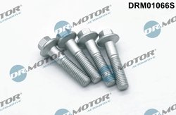 SURUB, SUPORT INJECTOR DR.MOTOR AUTOMOTIVE DRM01066S - Compatibil cu FORD