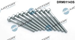 SURUB, SUPORT INJECTOR DR.MOTOR AUTOMOTIVE DRM01143S - Compatibil cu JEEP, MERCEDES-BENZ