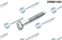 SURUB, SUPORT INJECTOR DR.MOTOR AUTOMOTIVE DRM01284 - Compatibil cu OPEL, VAUXHALL