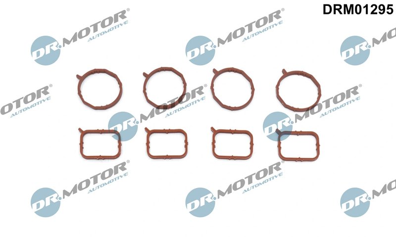 SET GARNITURI GALERIE ADMISIE DR.MOTOR AUTOMOTIVE DRM01295 - Compatibil cu AUDI, SEAT, SKODA, VW