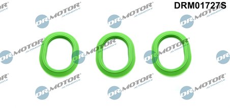 Set garnituri galerie admisie Dr.Motor Automotive DRM01727S