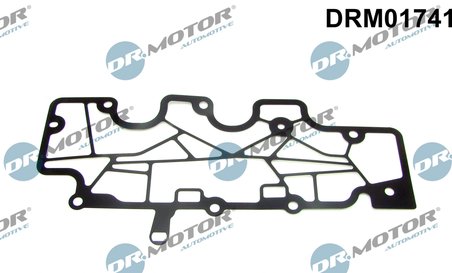 garnitura,aerisire bloc motor Dr.Motor Automotive DRM01741