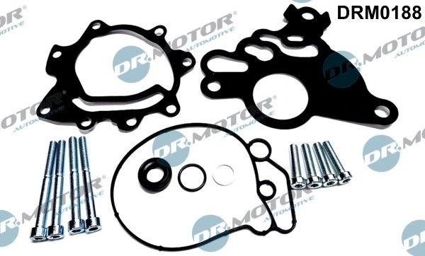 Set reparatie, pompa vacuum (Siste frana) Dr.Motor Automotiv