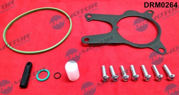 Set reparatie, pompa vacuum (Siste frana) Dr.Motor Automotiv