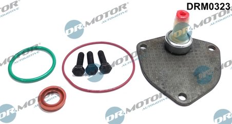 Set reparatie, pompa vacuum (Siste frana) Dr.Motor Automotiv
