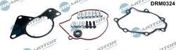 SET REPARATIE, POMPA VACUUM (SISTE FRANA) DR.MOTOR AUTOMOTIVE DRM0324 - Compatibil cu VW