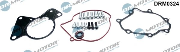 Set reparatie, pompa vacuum (Siste frana) Dr.Motor Automotiv