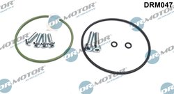 SET REPARATIE, POMPA VACUUM (SISTE FRANA) DR.MOTOR AUTOMOTIVE DRM047 - Compatibil cu AUDI, VW