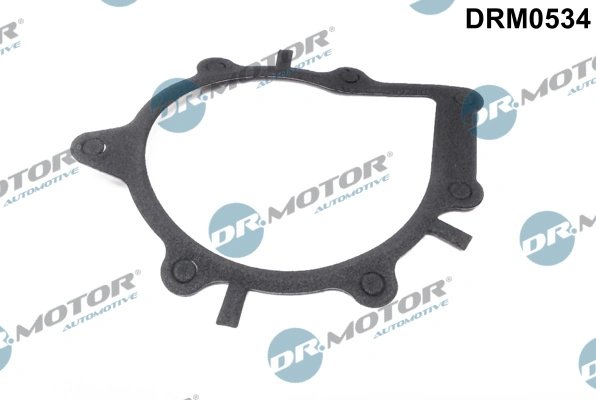 Garnitura pompa de apa Dr.Motor Automotive DRM0534