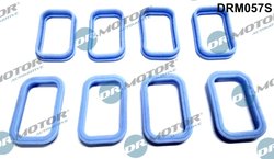 SET GARNITURI GALERIE ADMISIE DR.MOTOR AUTOMOTIVE DRM057S - Compatibil cu CITROEN, FIAT, FORD, JAGUAR, LAND ROVER, LTI, MAZDA, P