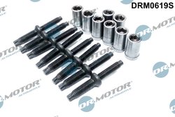 SURUB, SUPORT INJECTOR DR.MOTOR AUTOMOTIVE DRM0619S - Compatibil cu CITROEN, FORD, PEUGEOT