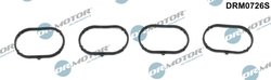 Garnitura galerie admisie Dr.Motor Automotive DRM0726S