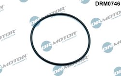 Garnitura, pompa vacuum Dr.Motor Automotive DRM0746