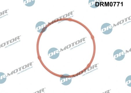 Etansare, pompa ulei Dr.Motor Automotive DRM0771