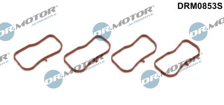 Set garnituri galerie admisie Dr.Motor Automotive DRM0853S