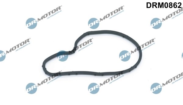 GARNITURA, POMPA VACUUM DR.MOTOR AUTOMOTIVE DRM0862 - Compatibil cu OPEL, VAUXHALL