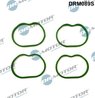 Set garnituri galerie admisie Dr.Motor Automotive DRM089S