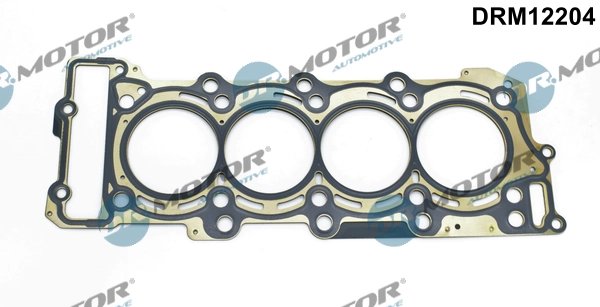 Garnitura chiuloasa Dr.Motor Automotive DRM12204