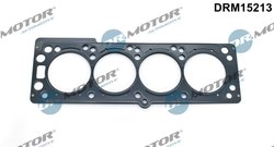 Garnitura chiuloasa Dr.Motor Automotive DRM15213