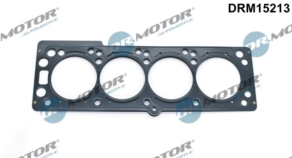 Garnitura chiuloasa Dr.Motor Automotive DRM15213