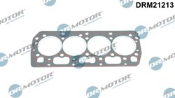 Garnitura chiuloasa Dr.Motor Automotive DRM21213