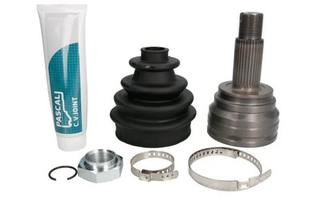 CAP PLANETARA PASCAL G1B010PC - Compatibil cu BMW