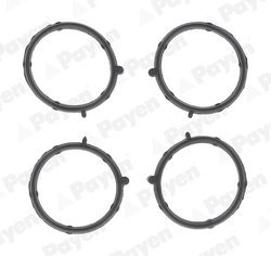 GARNITURA CARCASA GALERIE ADMISIE PAYEN JA5011 - Compatibil cu FIAT, ZASTAVA
