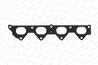 Garnitura galerie evacuare Payen JC884