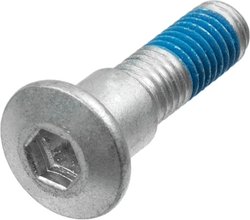 SET SURUB, DISC FRANA TRW MSS132-6 - Piesa auto compatibila cu mai multe marci