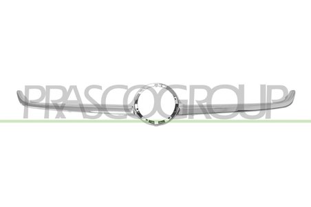 Banda de protectie, grila radiator Prasco OP0362216