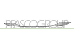 BANDA DE PROTECTIE, BARA DE PROTECTIE PRASCO PG5041245 - Compatibil cu PEUGEOT
