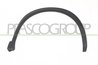 LATIRE,ARIPA PRASCO PG5041581 - Compatibil cu PEUGEOT