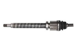 PLANETARA POINT GEAR PNG71367 - Compatibil cu FORD