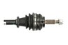 PLANETARA POINT GEAR PNG72466 - Compatibil cu RENAULT