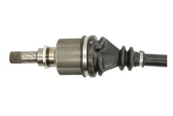 PLANETARA POINT GEAR PNG72466 - Compatibil cu RENAULT