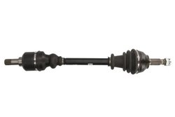 PLANETARA POINT GEAR PNG72603 - Compatibil cu CITROEN