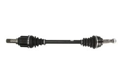PLANETARA POINT GEAR PNG72806 - Compatibil cu RENAULT