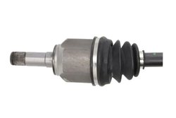 PLANETARA POINT GEAR PNG72818 - Compatibil cu ALFA ROMEO, FIAT, LANCIA