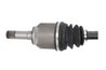 PLANETARA POINT GEAR PNG72818 - Compatibil cu ALFA ROMEO, FIAT, LANCIA