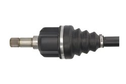 Planetara POINT GEAR PNG72901