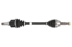 Planetara POINT GEAR PNG73130