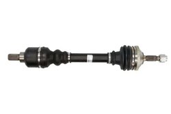 Planetara POINT GEAR PNG73133