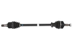 Planetara POINT GEAR PNG73168