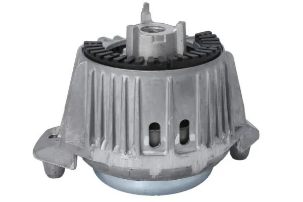 Suport motor REINHOCH RH11-3119