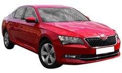 tampon Phira SB-15271