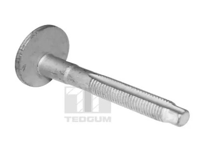 SURUB TEDGUM TED39597 - Compatibil cu AUDI, CUPRA, SEAT, SKODA, VW