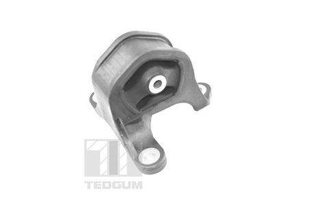 Suport motor Tedgum TED95218