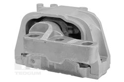 Suport motor Tedgum TED98366