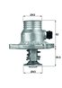 Termostat lichid racire MAHLE TM 11 105