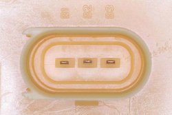 POMPA COMBUSTIBIL VEMO V10-09-0839 - Compatibil cu SEAT, VW